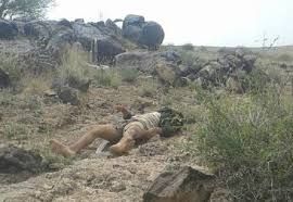 الجيش الوطني يعلن مصرع 10 قيادات ميدانية من المليشيات خلال يومين بالبيضاء