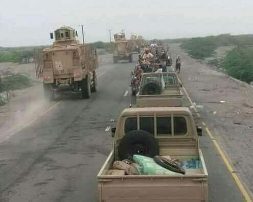 الحديدة.. الجيش يطهر مزارع الفازة والتحيتا ويزحف نحو زبيد