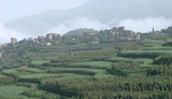 اشتباكات مسلحة بين قبليين والمليشيات الحوثية غرب صنعاء