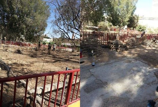 الحوثيون يحتكرون النفط والغاز وينشطون في بيع الحطب.. جامعة صنعاء بلا أشجار