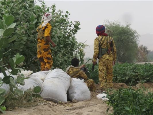 مأرب.. الحملة الأمنية مستمرة لملاحقة العناصر  المطلوبة قضائياً