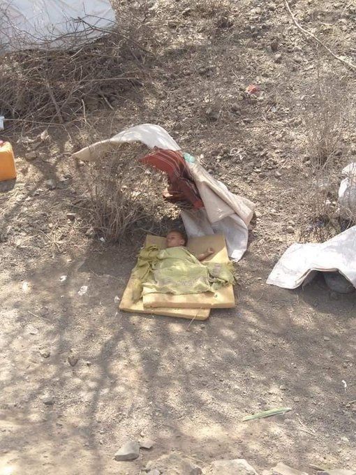 نددت بحملة التحريض الحوثية.. وحدة النازحين بمارب تطالب بحماية النازحين من الارهاب الحوثي