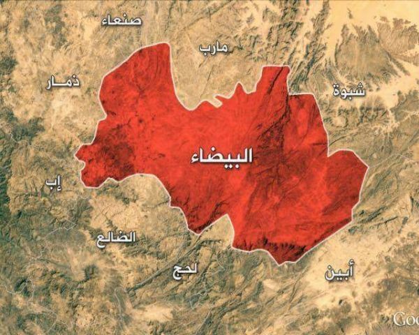 ناطق الجيش: مستمرون في تطهير البيضاء بإشراف وزارة الدفاع