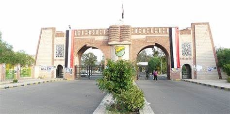 تجريف حوثي مستمر لأراضي جامعة صنعاء ونقابة هيئة التدريس تحذر