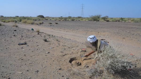 العقيلي: مليشيا الحوثي تواصل زراعة الألغام رغم الهدنة الأممية