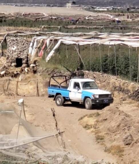 مليشيا الحوثي تستبيح إحدى مناطق همدان وتنهب الممتلكات تحت حماية قوة عسكرية