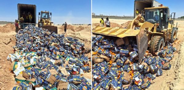 المهرة.. إتلاف قرابة 3 آلاف كرتون من البرتقال الفاسد في منفذ شحن