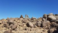 الجيش الوطني يحقق تقدما كبيرا في محور البقع بصعدة في عملية عسكرية واسعة الجيش الوطني يحقق تقدما كبيرا في محور البقع بصعدة في عملية عسكرية واسعة