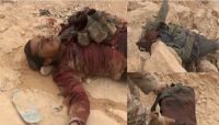 22 قائداً ميدانياً للمليشيا سقطوا خلال معارك جبهة نهم الأخيرة "أسماء" 22 قائداً ميدانياً للمليشيا سقطوا خلال معارك جبهة نهم الأخيرة "أسماء"