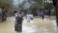 العثور على بحارة على قيد الحياة في جزيرة سقطرى العثور على بحارة على قيد الحياة في جزيرة سقطرى