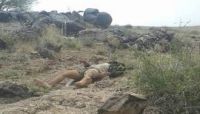 الجيش الوطني يعلن مصرع 10 قيادات ميدانية من المليشيات خلال يومين بالبيضاء الجيش الوطني يعلن مصرع 10 قيادات ميدانية من المليشيات خلال يومين بالبيضاء