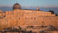 أكثر من 3800 مستوطن اقتحموا المسجد الأقصى في يوليو أكثر من 3800 مستوطن اقتحموا المسجد الأقصى في يوليو