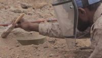 خلال اسبوع.. انتزاع أكثر من 1500 لغماً وعبوة ناسفة زرعتها مليشيات الحوثي خلال اسبوع.. انتزاع أكثر من 1500 لغماً وعبوة ناسفة زرعتها مليشيات الحوثي