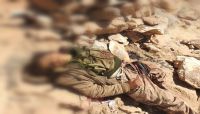 معارك نهم تلتهم عناصر الميليشيا.. وأحياء صنعاء تستقبل مئات القتلى من الحوثيين بلا توقف معارك نهم تلتهم عناصر الميليشيا.. وأحياء صنعاء تستقبل مئات القتلى من الحوثيين بلا توقف