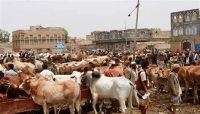 منهم بائعو اللحوم.. تجار في صنعاء يشكون ابتزاز مليشيا الحوثي خلال إجازة العيد منهم بائعو اللحوم.. تجار في صنعاء يشكون ابتزاز مليشيا الحوثي خلال إجازة العيد