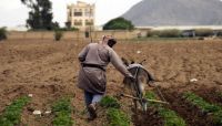"الخمس" وبمسميات مختلفة.. (الحوثي) تواصل سياسة إفقار مزارعي "تهامة" "الخمس" وبمسميات مختلفة.. (الحوثي) تواصل سياسة إفقار مزارعي "تهامة"