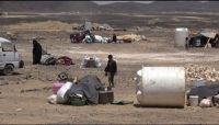 جريمة حوثية جديدة.. تهجير قسري لعشرات الأسر في "الجوف" جريمة حوثية جديدة.. تهجير قسري لعشرات الأسر في "الجوف"