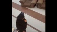 صنعاء.. عناصر من المليشيا تقتحم حفل "زفاف" خاص بالنساء صنعاء.. عناصر من المليشيا تقتحم حفل "زفاف" خاص بالنساء