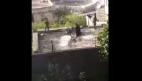مليشيا الحوثي تقتحم وتعبث بمنزل شيخ قبلي بمدينة إب مليشيا الحوثي تقتحم وتعبث بمنزل شيخ قبلي بمدينة إب