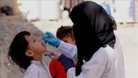 وزارة الصحة تعلن نجاح الجولة الثانية من حملة التحصين ضد شلل الأطفال بنسبة 107 بالمائة وزارة الصحة تعلن نجاح الجولة الثانية من حملة التحصين ضد شلل الأطفال بنسبة 107 بالمائة