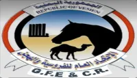 تداعيات أزمة الفروسية اليمنية: استبعاد أبطال الجمهورية يثير الشكوك، واتهامات لاتحاد الرياضة بالخضوع لقرارات مليشيا الحوثي
